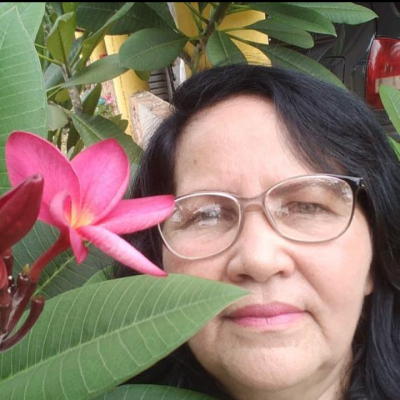 perfil usuario