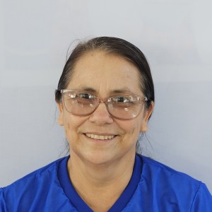 perfil usuario